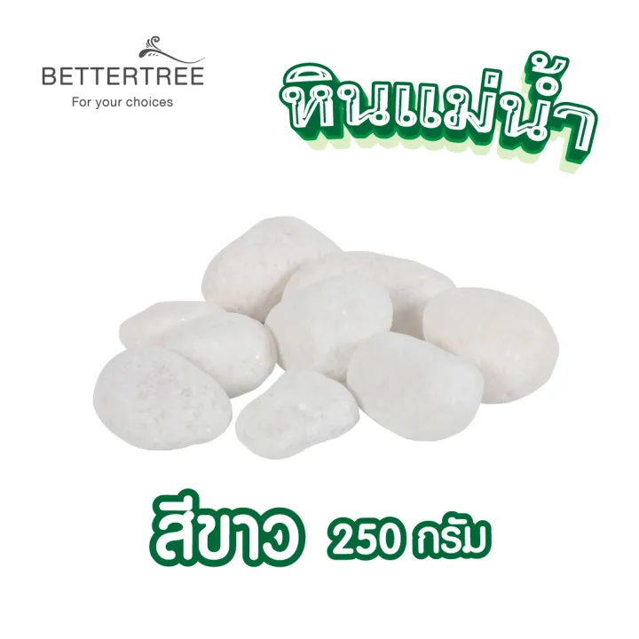 10 อันดับหินแม่น้ำยอดนิยมสำหรับตกแต่งสวนและบ้าน อัปเดตปี 2025