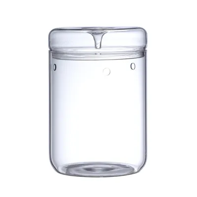 Micro-Landscape Glass Terrarium with Dew Collection Cover Bonsai Vase Glass Microscopic Landscape Ecological Bottle