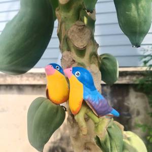 นกเกาะ นกแก้วเกาะ ( สุ่มสี1คู่ ) นกแก้ว13ซม./18ซม./23ซม. อุปกรณ์ตกแต่งสวน สัตว์แต่งสวน นกเกาะเซรามิค รูปปั้นนก นกเงือก รูปปั้น รูปปั้นสัตว์