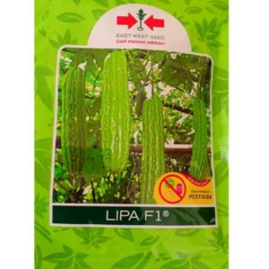 Benih Paria Pare Lipa F1 50 Seed saset yang kecil