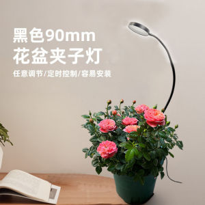 💗🙋‍♀️💗智能花盆USB桌面植物夜灯LED生长灯全光谱植物灯多肉补光灯