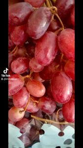 FRESH GRAPES SEEDLESS - ₱1800 for 2 Kilos
