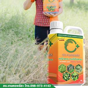 ยากำจัดวัชพืช ชนิดเผาไหม้+ดูดซึม กำจัดวัชพืชได้ทังใบแคบ และใบกว้างหญ้าตายเร็ว ยากำจัดวัชพืชได้ทุกชนิด ปราบวัชพืชได้ทุกชนิด