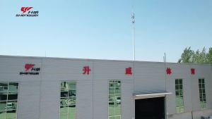 Shengwei Sports Thickened Cowhide Match Training Ball Indoor and Outdoor Playground Rubber Field 5 Football