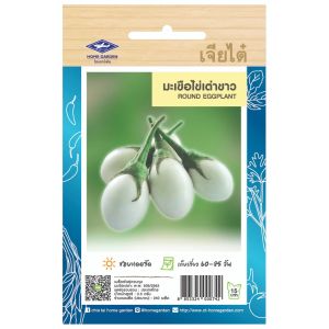 เมล็ดพันธุ์ มะเขือไข่เต่าขาว Round Eggplant มะเขือไข่เต่า มะเขือ ไข่เต่า ผักสวนครัว ดูแลน้อย ต้นแข็งแรง ปลูกง่าย น้ำหนักดี ผลผลิตสูง ทนโรค