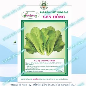 hạt giống Cải Xanh SH 200 bẹ dày lá cao gói 100g