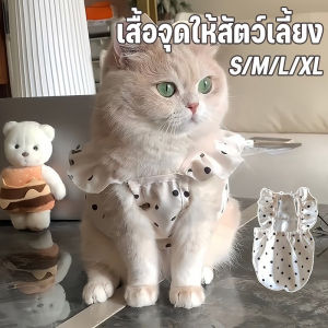 【PawHaven】เสื้อผ้าสัตว์เลี้ยง เสื้อแมว เสื้อจุดให้สัตว์เลี้ยง เดรสสายเดี่ยว เหมาะสำหรับสุนัขขนาดเล็ก