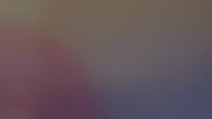 LZD  Hydroponic Plant Glass Bottle Square Glass Vase Transparent Scindapsus Aureus Water Lily Hydrocotyle Hydroponic Flower Pot Vessel Container