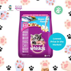 Whiskas Junior Ocean Fish Dry Cat Food – Complete Nutrition for Growing Kittens (6.5kg)