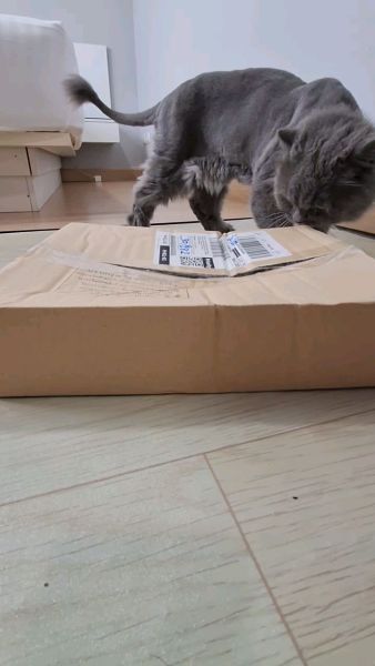 Buyer review video 5