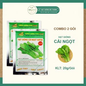 [EcoSeeds] Combo 2 Gói Hạt Giống Cải Ngọt Nông Hưng Phú - Chịu Nhiệt Chịu Mưa Giống Sinh Trưởng Khỏe - Gói 20g