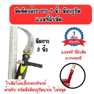 มีดตัดกล้วย ขนาด 9 นิ้ว ฟรี ที่ลับมีด มีดชักกล้วย สแตนเลส ยาวขึ้นโค้งขึ้น แข็งแรง จับแน่นไม่ลื่นมือ มีสกรูยึด