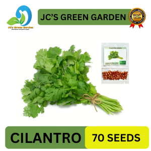VALUE PACK! (70 SEEDS) - CILANTRO/CORIANDER/WANSOY/HERBS/EASY TO PLANT/HIGH YIELDING