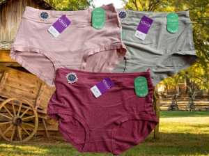 2PCS CELANA DALAM WANITA SOREX 1238 SUPER SOFT M L XL XXL
