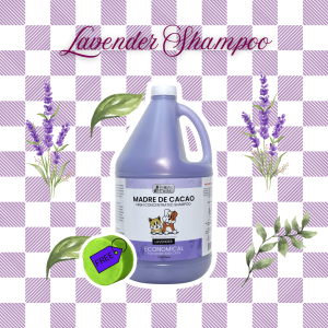 MDCP - Anti Galis Kati Kamot Prolific Tails Madre De Cacao High Concentrated Shampoo (Lavender Scent) 1 Gallon (3.78L)   Anti Mange Anti-Fungal and Anti-Bacterial with free Madre de Cacao Soap