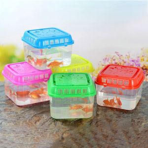 ER52858 Plastic Portable Fish Tank Handheld Transparent Reptile Feeding Box Reptile Carrier with Handle Mini Fish Bowl For Turtle Fish Lizards