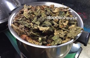 READY STOCKMULBERRY LIVE PLANT POKOK/ Organic Dried Mulberry Leaves Tea Sang Ye