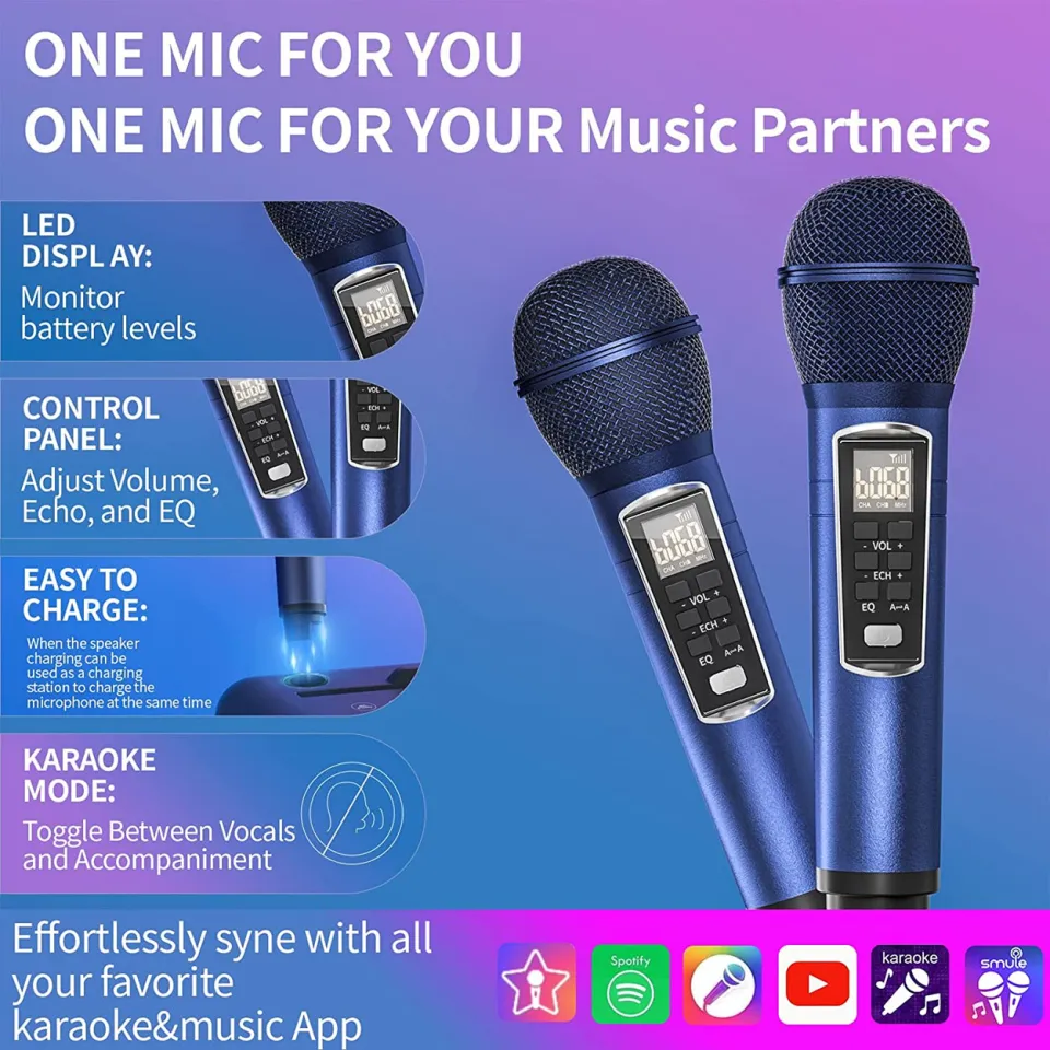 SDRD SD-318 Bluetooth Karaoke Speaker Comes with 2 Wireless