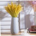 Bông lúa khô trang trí 1 bó 50 nhánh hạt lúa nguyên thủy GG123. 