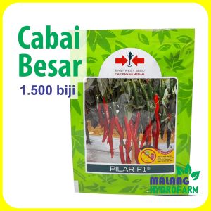 Benih Cabai Besar Pilar F1 1500 biji Cap Panah Merah merah cabe hijau unggul bibit berkualitas hidroponik gram g
