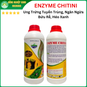 ENZYME CHITINI Ung Trứng Tuyến Trùng Ngăn Ngừa Bứu Rễ Héo Rủ Héo Xanh