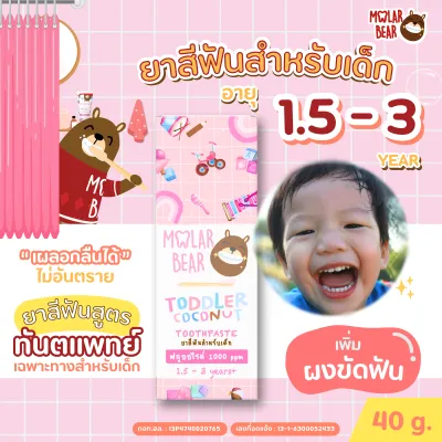 1.5 ขวบ+ Molar Bear ยาสีฟันเด็ก รุ่น Toddler ฟลูออไรด์ 1000 ppm เพิ่มผงขัดฟัน (ขนาดใหม่ 40 กรัม)