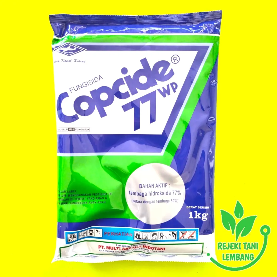 Kasalxonada lesbiyanka pornosini tomosha qiling