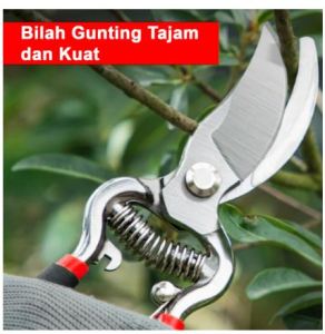 Gunting Dahan Bengkok 8 Inch
