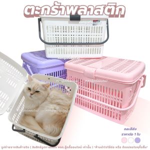 ตะกร้าพลาสติก ตะกร้า ตะกร้าแมวเล็ก ขนาด 25*33*23 ซม. ตะกร้าใส่ของ ฝาล็อก มีรูมีหูหิ้ว สีพาสเทล