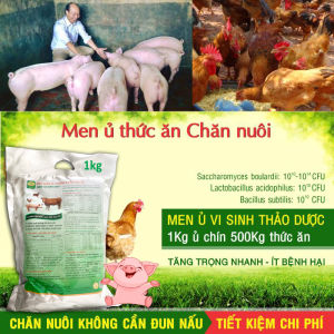 Men ủ vi sinh thảo dược - Lên men làm chín Thức Ăn - Chăn Nuôi không cần đun nấu - 1kg ủ được 520kg thức ăn - Vật nuôi khỏe mạnh chắc thịt lớn nhanh - Giảm mùi hôi chuồng trại - BIOMEN