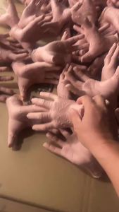 Halloween Ghost Hand Carnival Addams Ghost Hand Wednesday Ghost Hand Vinyl Severed Hand Prank Props