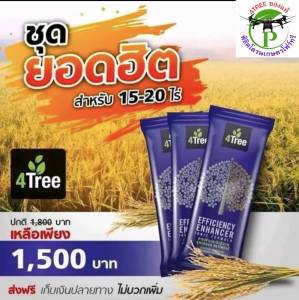 4Treeของแท้ โฟร์ทรี 3 ซอง สารเสริมประสิทธิภาพพืชสูตรอิออน ช่วยเร่งราก พืชโตเร็ว ทำให้พืชเขียวนาน ใช้ได้กับพืชทุกชนิด นวัตกรรมใหม่จากประเทศอิสราเอล(3 ซองใช้ได้ 60 ไร่)ของแท้100%