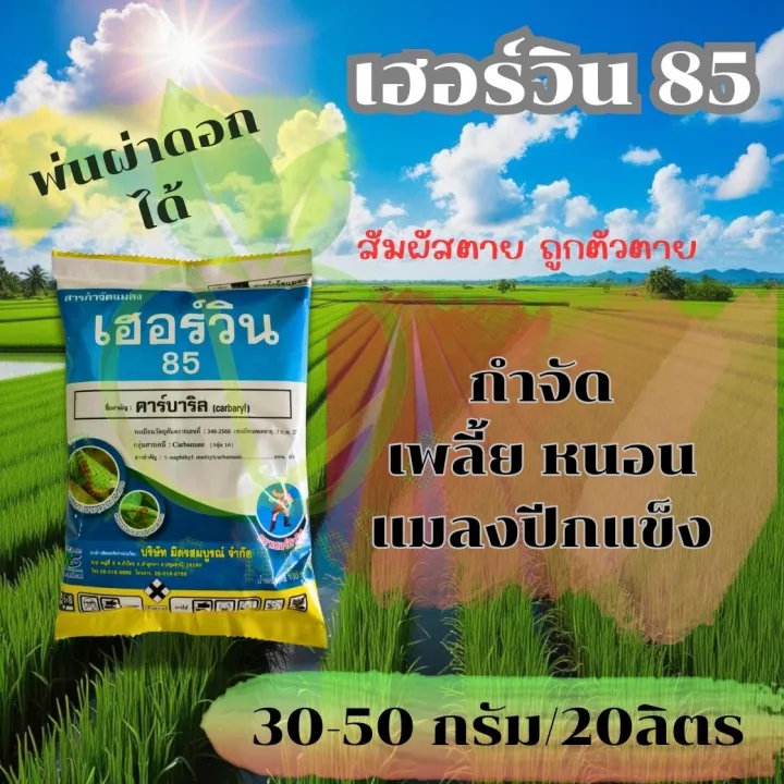 เฮอร์วิน คาร์บาริล 85% กำจัดด้วงมะพร้าว แมลงคลาน