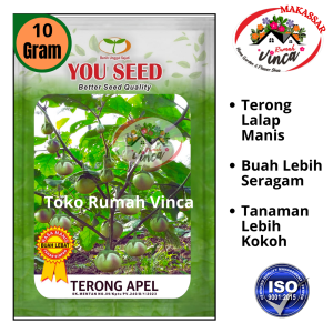 Benih Bibit Terong Lalap TERONG APEL 10g You seed Bibit Terong Manggis