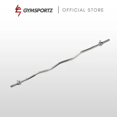 Standard EZ Curl Bar (1 inch)