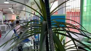 Suitable for iphone16pm Genuine Leather Lychee Pattern Full Coverage Magnetic Case 14pm Business Phone Case