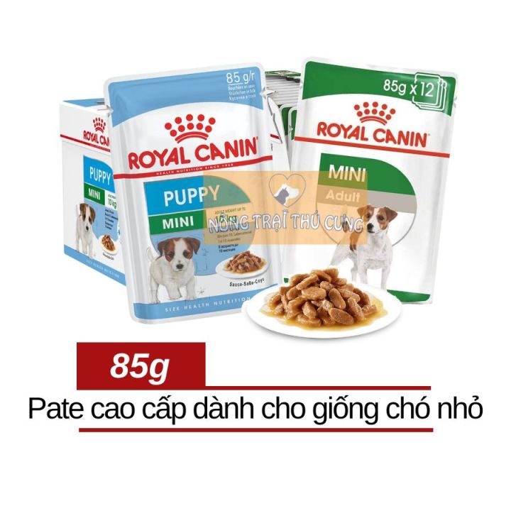 Giống Chó Maltipoo Ã¡r Royal Canin Poodle Adult Thức Ăn Hạt Cho