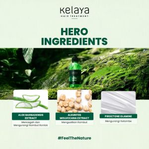 Kelaya Hair Treatment Shampoo 250ml Penebal Penumbuh Rambut Mencegah Rontok Shampo Sampo Kepala Perawatan