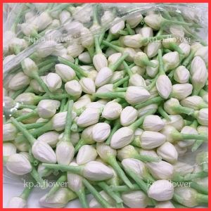 🤍 มะลิทิชชู่ ดอกมะลิทิชชู่ ดอกพุดทิชชู่ พุดทิชชู่ (Paper Gardenia)🤍 สำหรับร้อยมาลัย มีกลิ่นหอม ส่งไว 🚛⚡️ 50 ดอก/50 บาท✅ ราคาขายส่ง ✅ มีเก็บปลายทาง