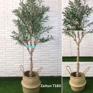 Pohon Artificial Tanaman Hias Zaitun Olive X3 T140 & T180 Latex Cover Anyaman Purun Belly Dekorasi Studio Esthetic