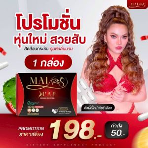 [ โปร 6 กล่อง ] ใหม่พัชรี MaiPlus S CAP ใหม่พลัสเอสแคป 1 กล่อง 10 แคปซูล