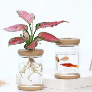 Nordic Transparent Hydroponic Plant Pot Self Watering Automatic Absorption Vase For Indoor Home Office Decor