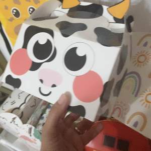 CowCowBoy & Barn Yard Theme Party Supplies: Loot Boxes & Goodie Bags