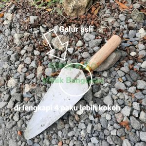 Cetok Semen Sendok Semen GALUR ASLI 30 CM Lebar 10 CM Cetok Lancip 30 cm Sendok Semen Lancip 30 cetok tukang bangunan