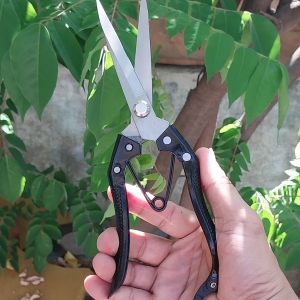 Kéo cắt tỉa cành cây kéo tỉa dăm mũi nhọn dài 24-34cm