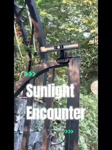 1PC Outdoor Solar Motion Sensor Light 36pcs 5630 High Brightness LED Beads Clip-on/wall Mounting Methods Wall Light Fence Light Camping Light Landscape Light Suitable for Camping Garage Courtyard Commercial Lighting