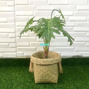 Pohon Artificial Tanaman Hias Daun Jari Philo X7 Latex Cover Pot Anyaman Purun Handle Dekorasi Meja Kantor