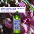 Yves Rocher Volume Plumping Shampoo with Quinoa Peptides- 300ml Boosting Volume for Fine & Flat Hair. 