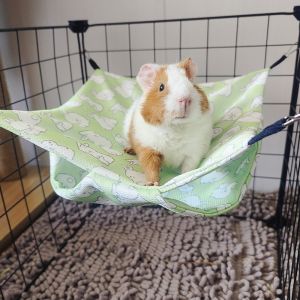 YAZHE Comfortable Pet Hammock Breathable Summer Cooling Hammock Swing Toys Durable Easy To Clean Hamster Hanging Beds For Small Animal Chinchillas