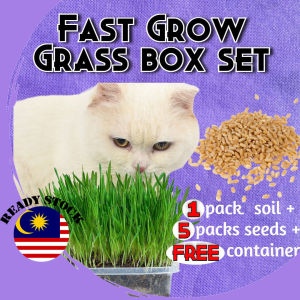 GATA Cat Grass Seeds Box Set with Container Wheat Hairball-Control Biji Benih Rumput Kucing